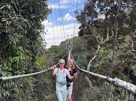 bamboo ecotours|Bamboo Ecotours .